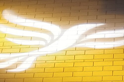 Lib Dem logo bird projected on blockwork